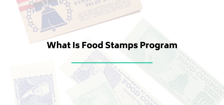 What Is Food Stamps Program